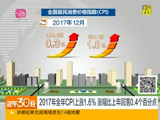 2017ȫCPI1.6%Ƿ0.4ٷֵ