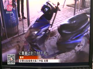 ȾƲ ݵ綯